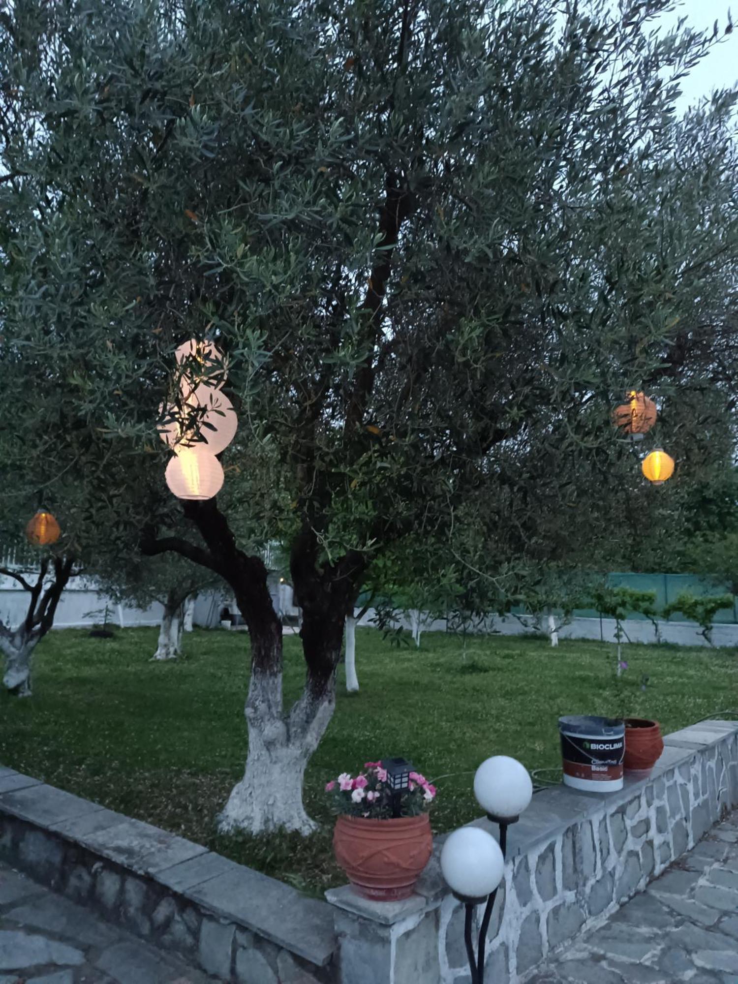 Maison d'hôtes Pomegranate Tree House - Meteora à Kalambaka Extérieur photo