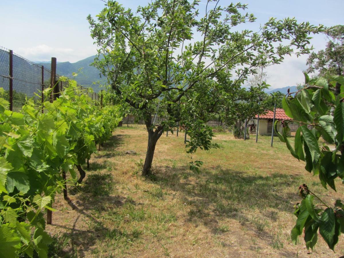 Maison d'hôtes Pomegranate Tree House - Meteora à Kalambaka Extérieur photo